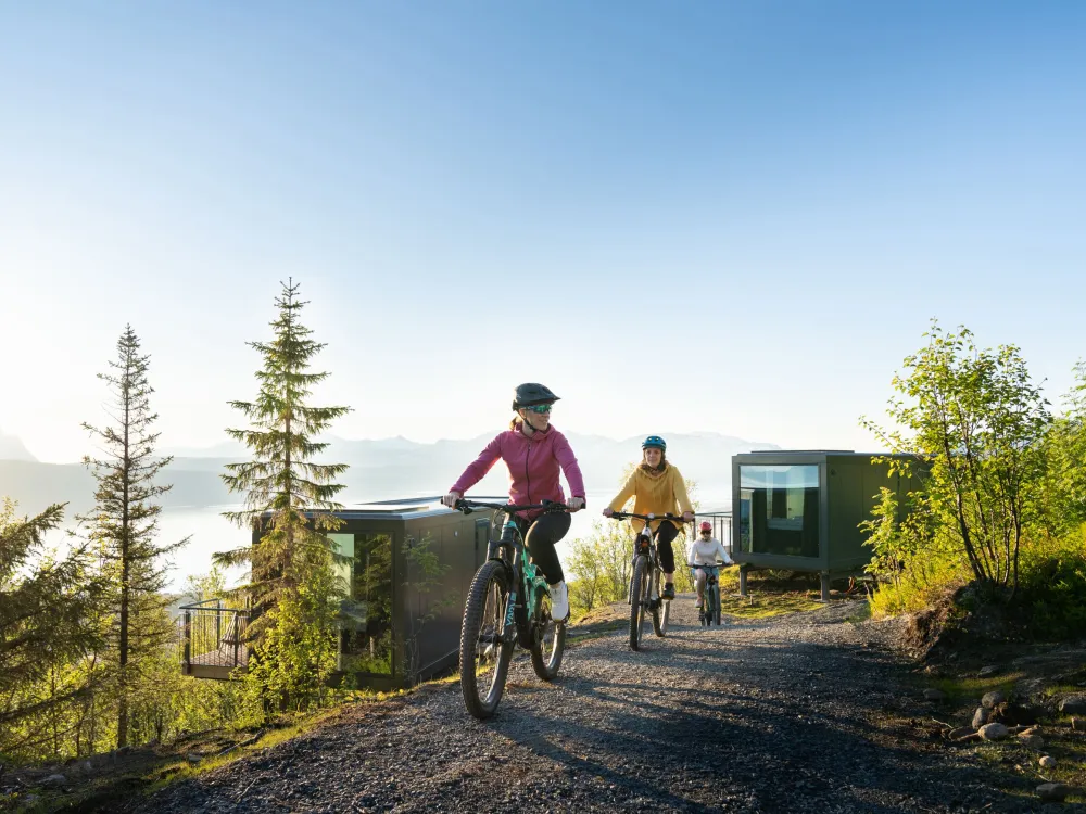 CAMP 291 | Narvik