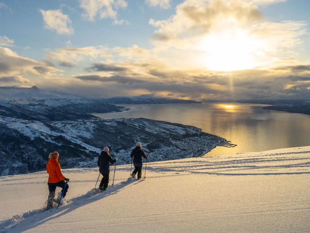 Snowshoeing in the Arctic