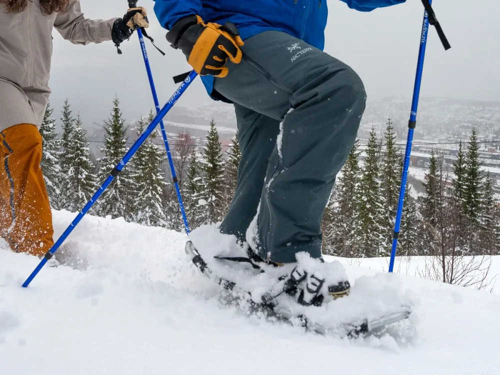 Snowshoeing in the Arctic